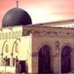 MUSHIR EL MASRI