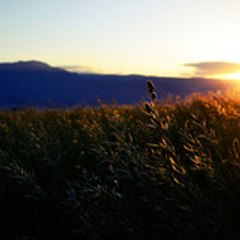 Maxime Maxime Garnaud