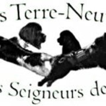 Mary des Seigneurs des Ô