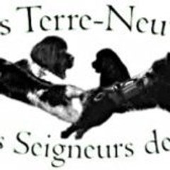 Mary des Seigneurs des Ô