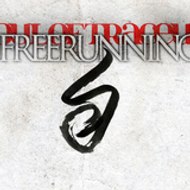 SOTfreerun