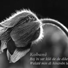 Rênas Aibo