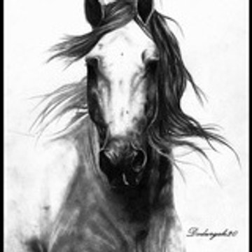 dodurgali  dodurgali20