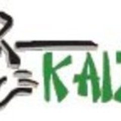 Kaizen Energy