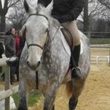 Annie Fréville-Bonnand