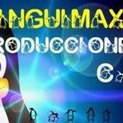 Pinguimaxpro