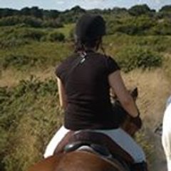 Vincent Millon-vaillant