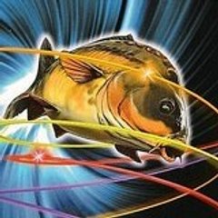 team carpe