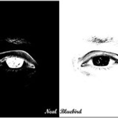 ying yang