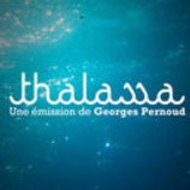 Thalassa Video