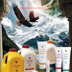 Foreverliving Danışmanı