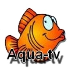 Aqua-tv Aqua-staff
