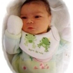 nabil bel