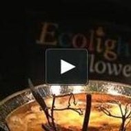 RCTENDANCE RCTENDANCE