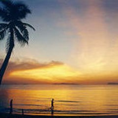 www.koh-samui-thailande.com