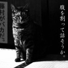 tanuki_bakero
