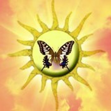 Créations - Jaune et Noir