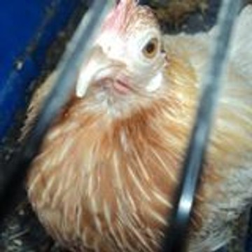 Karim Delilledefrance