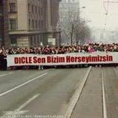 dicleyenigun
