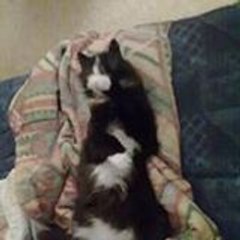 Marie-Christine Minhonnac