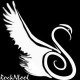 Rocknfool