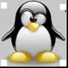 tuxii