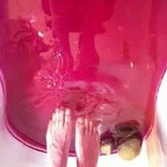 Nathalie Pargoire Champon