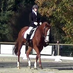 Appoline Flx