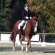 Appoline Flx
