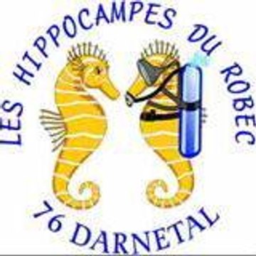 hippocampesdurobec