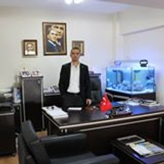 Ali Emre Sapmaz