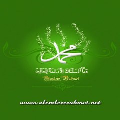 alemlererahmet571
