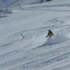 Philippe boccon-gibod