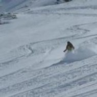 Philippe boccon-gibod