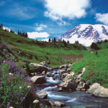 Benim Vizörümden, Benim Kulağımdan-BVBKBBA