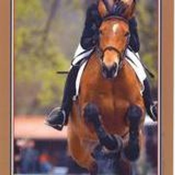 oudin laure