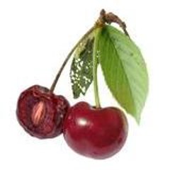 Cherry Flesh