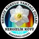 Agaceri