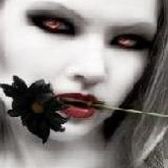 bisy_pisy