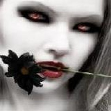 bisy_pisy