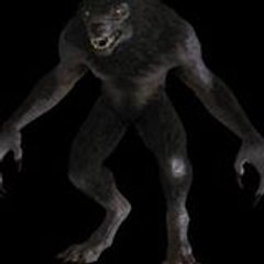 brandonmma