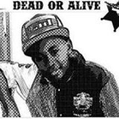 Cheikh Diack