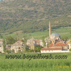 BOYALIWEB