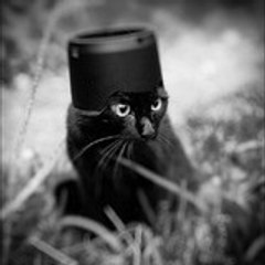 Minou Millechat