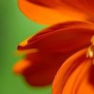 Incontinence_Solutions