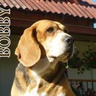 Johnny Restrepo Peres