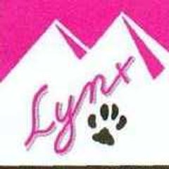 Lynx-Action-Loisirs