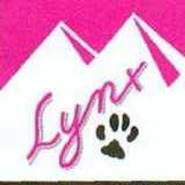 Lynx-Action-Loisirs