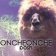ONCH ONCH