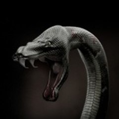 Süleyman Yıldırım